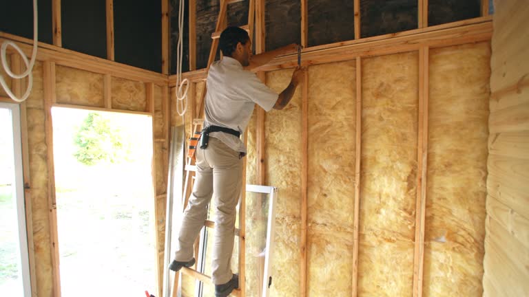 Best Garage Insulation  in Braidwood, IL